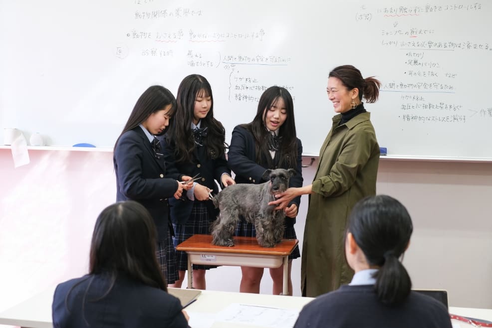 総合コース